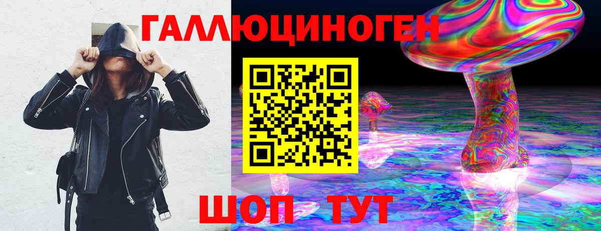 Долгопрудный  Псилоцибиновые грибы GOLDEN TEACHER  Вход с VPN  где можно купить   Галлюциногенные грибы Cubensis 
