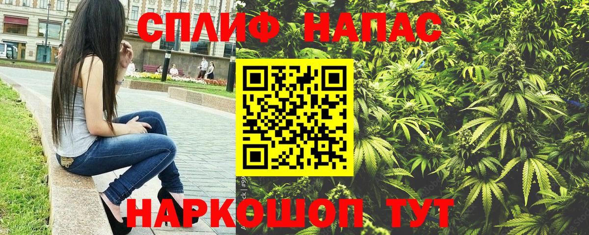 Конопля гибрид  Канабис индика  Долгопрудный  Вход с VPN  Конопля план 